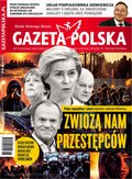 polityka, społeczno-informacyjne: Gazeta Polska – e-wydanie – 19/2024