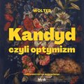 Kandyd, czyli optymizm - audiobook