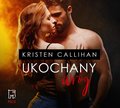 Ukochany wróg - audiobook