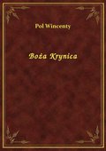 Boża Krynica - ebook