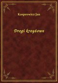 Drogi krzyżowe - ebook