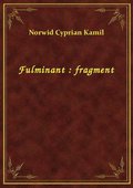 Fulminant : fragment - ebook