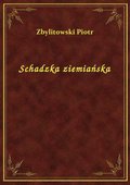 Schadzka ziemiańska - ebook