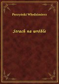 Strach na wróble - ebook