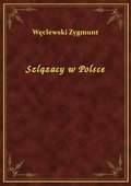 Szlązacy w Polsce - ebook