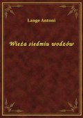 Wieża siedmiu wodzów - ebook