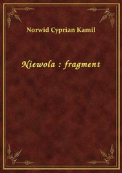 : Niewola : fragment - ebook